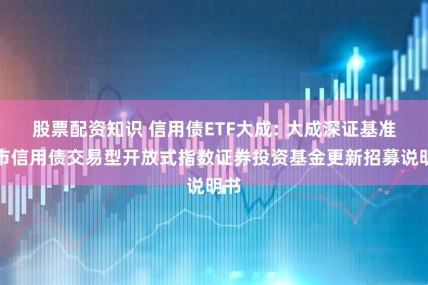 股票配资知识 信用债ETF大成: 大成深证基准做市信用债交易型开放式指数证券投资基金更新招募说明书